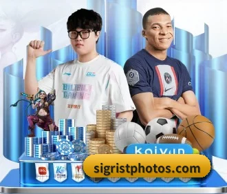 半岛网页版登录入口 APP